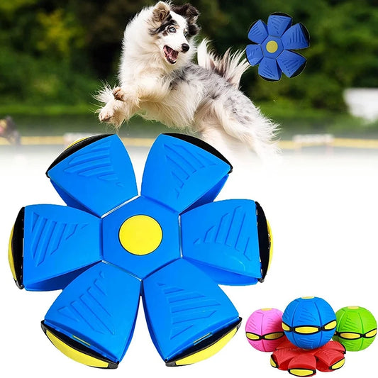 Flying Saucer Dog Ball Toy