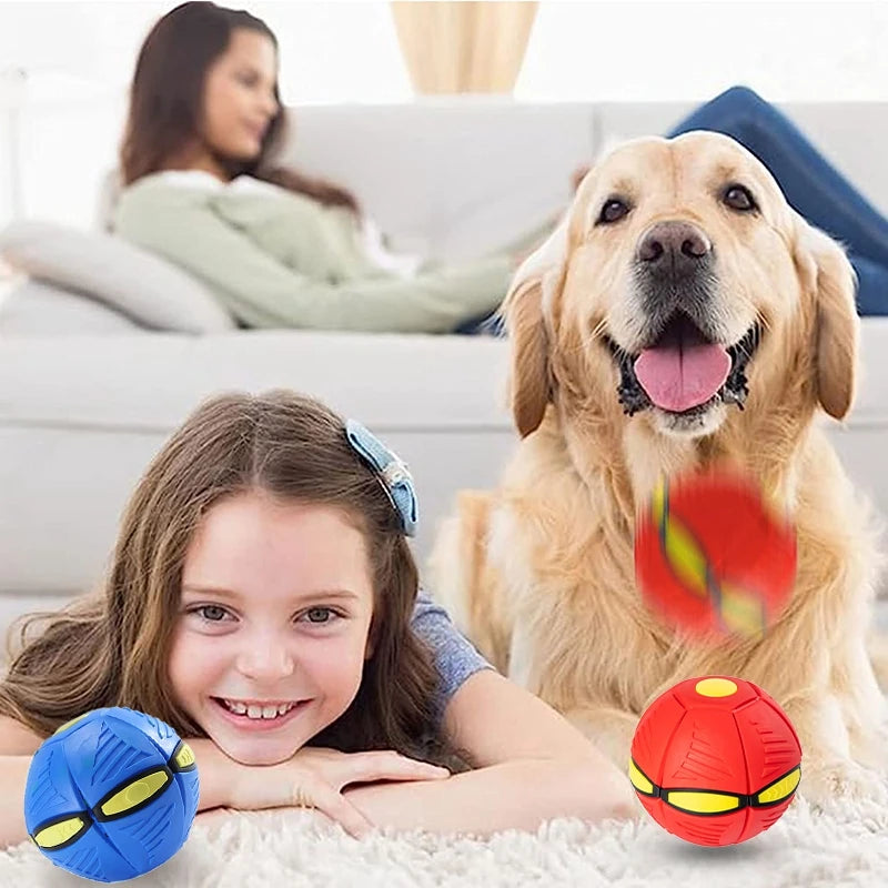 Flying Saucer Dog Ball Toy
